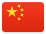 中文