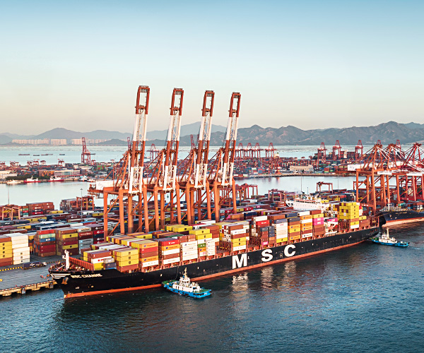 Freight & Container ports
